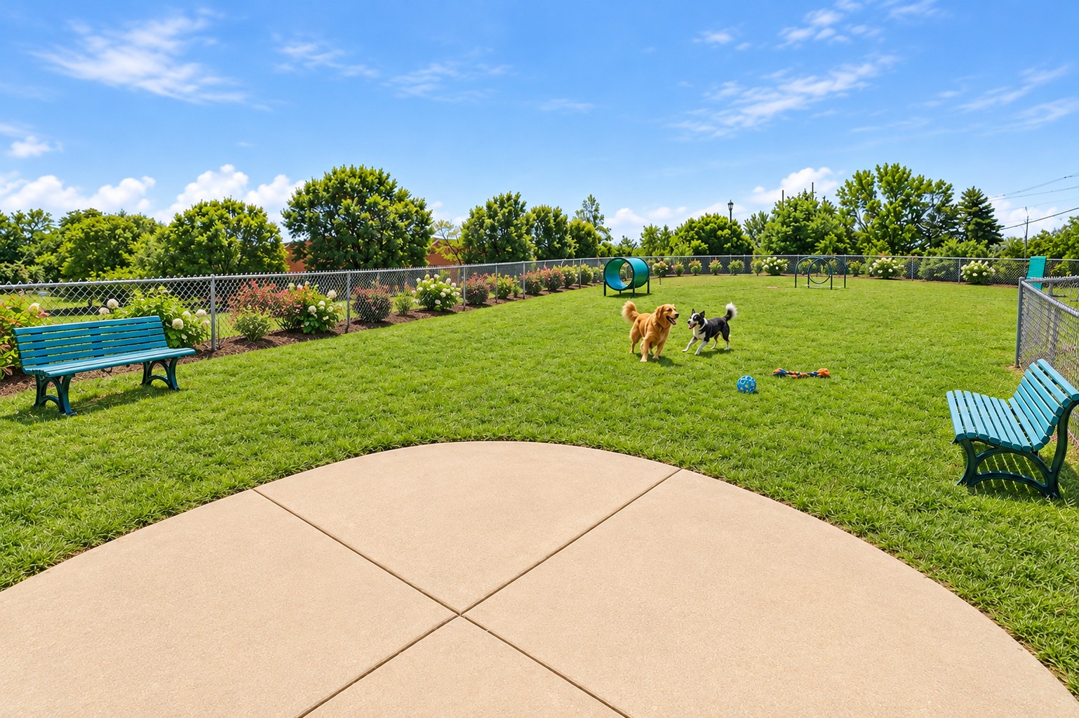 Fenced dog park with green space and agility features